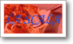 LA SCALA Logo